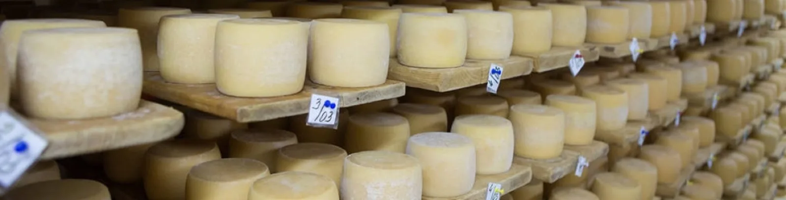 Kaşar maturation and resting room: industrial rack layout