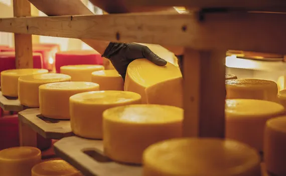Kaşar cheese maturation room: industrial humidity control application